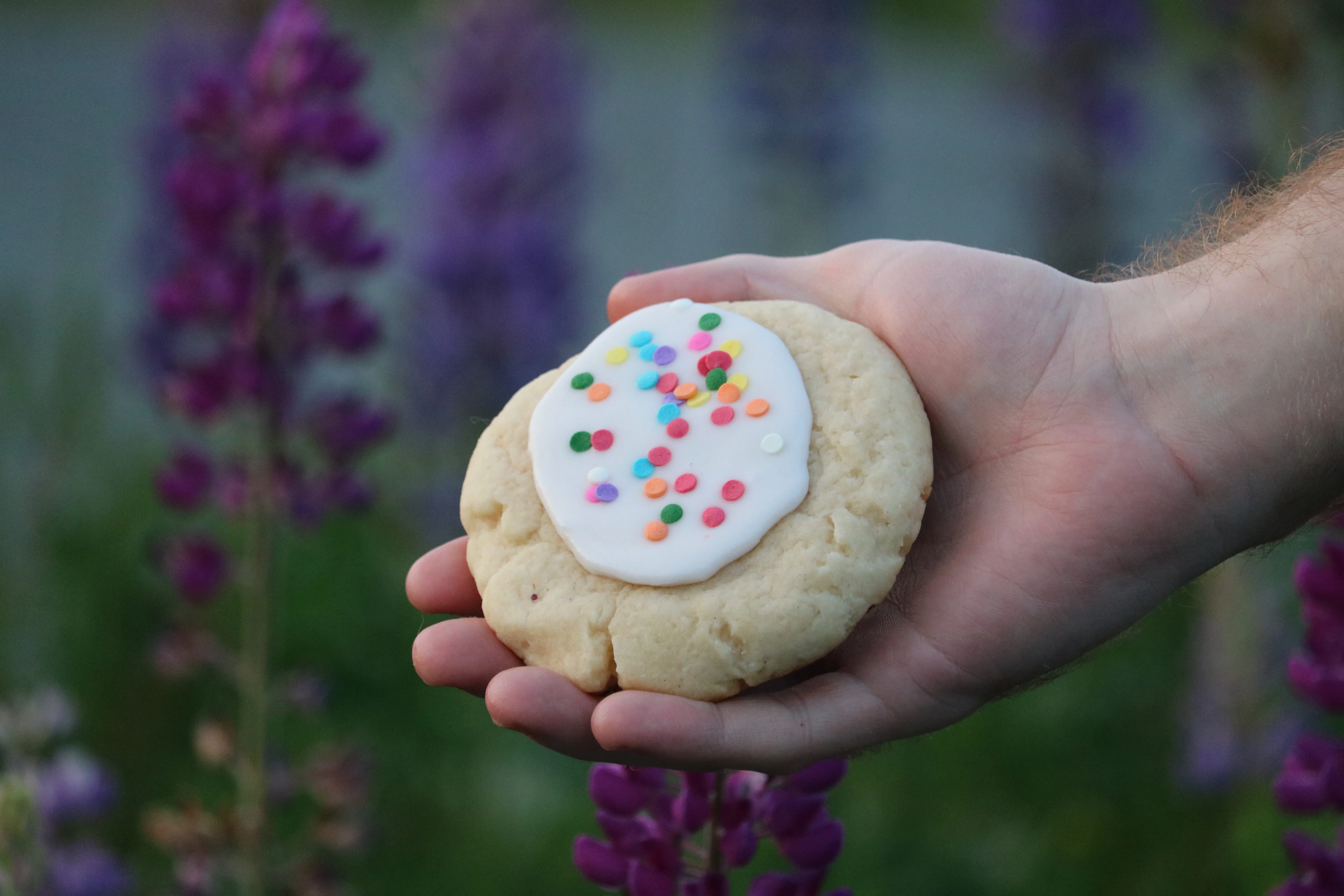Delicious Sugar Cookie